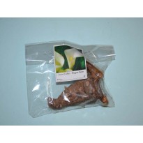 Jarro (Calla) - Elegant Swan