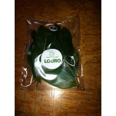 Lorbeerblatt (10gr)