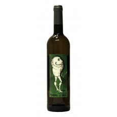 Vinho branco DOP Terras do Avô