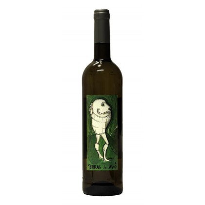 Vino blanco Terras do Avô 2013