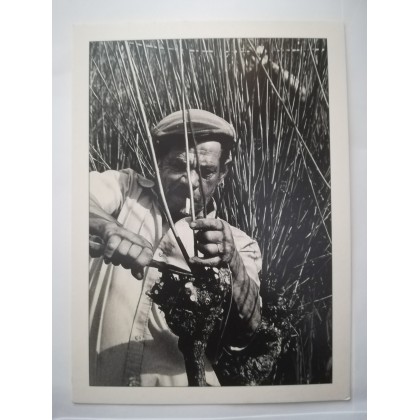 Postal Expressões Madeirenses Coleção Michel Demling