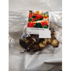 Cana da Índia Orange