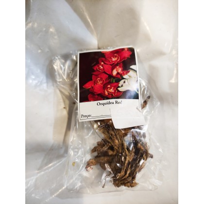 Orquídea Red