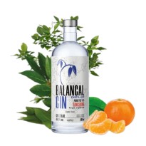 Gin de Tangerina 500ml - 44,8%