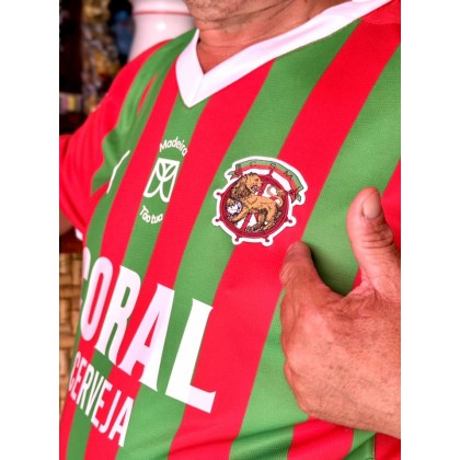 PULL OFFICIEL VERT / ROUGE