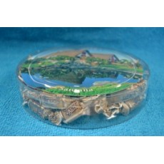 Traditionelle Erdbeere Süßigkeit 275 g Round Box